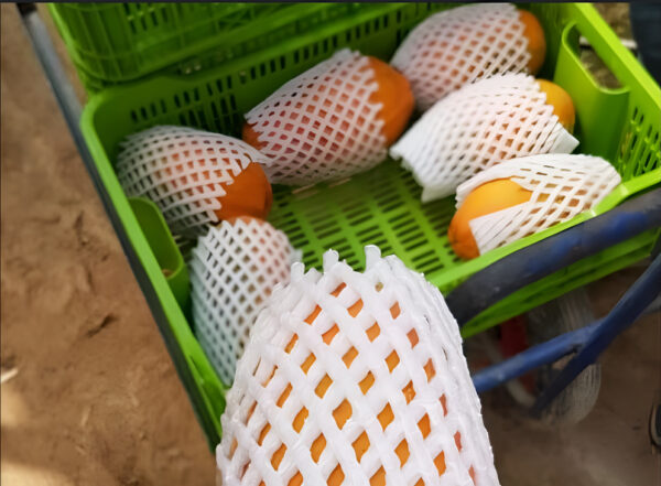 maya de polietireno Malla de Espuma